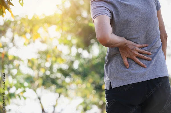 How To Reduce Back Pain?